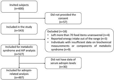 Association of plant-based diets with adropin, atherogenic index of plasma, and metabolic syndrome and its components: A cross-sectional study on adults